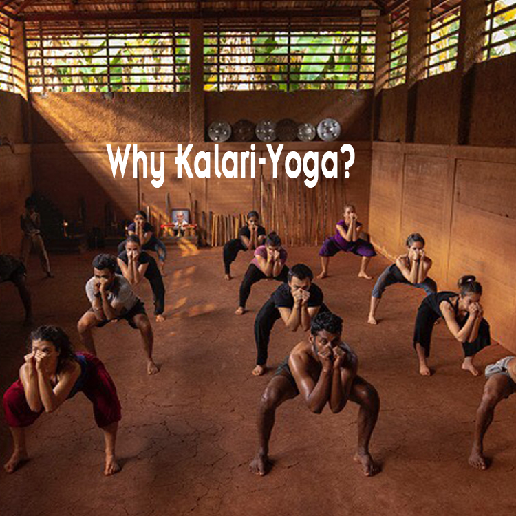 Kerala Yoga Kerala Traditional Martial Art Yogic Techniques